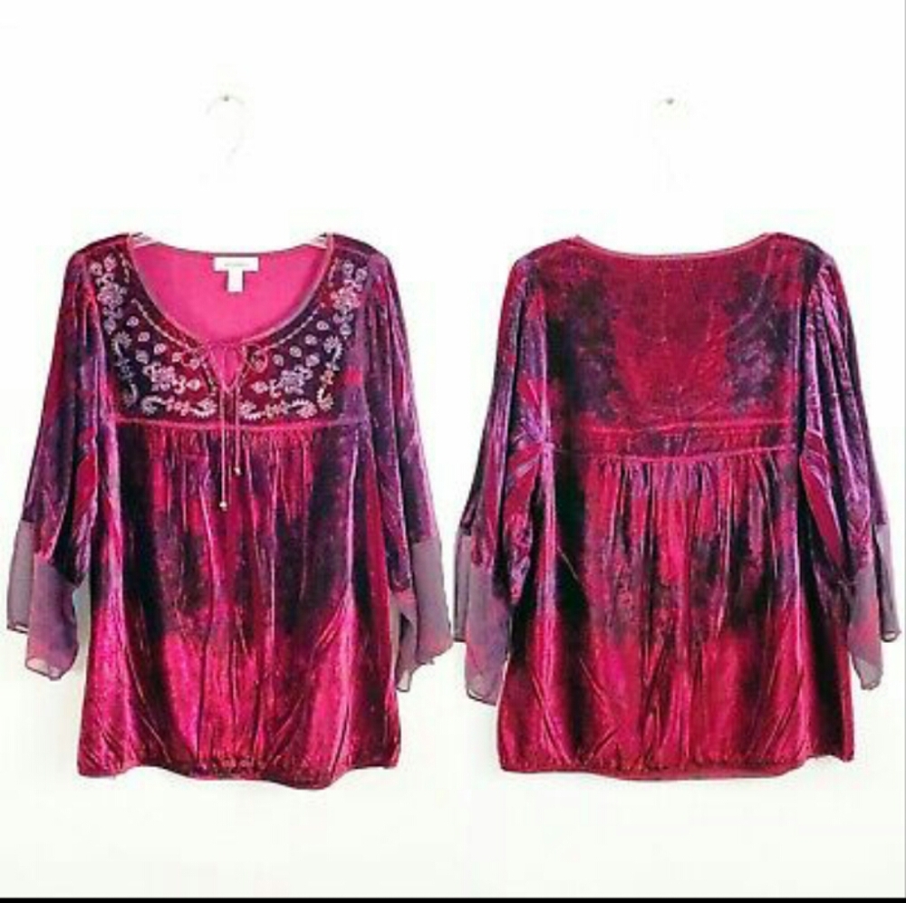 Dressbarn Velour Style Blouse